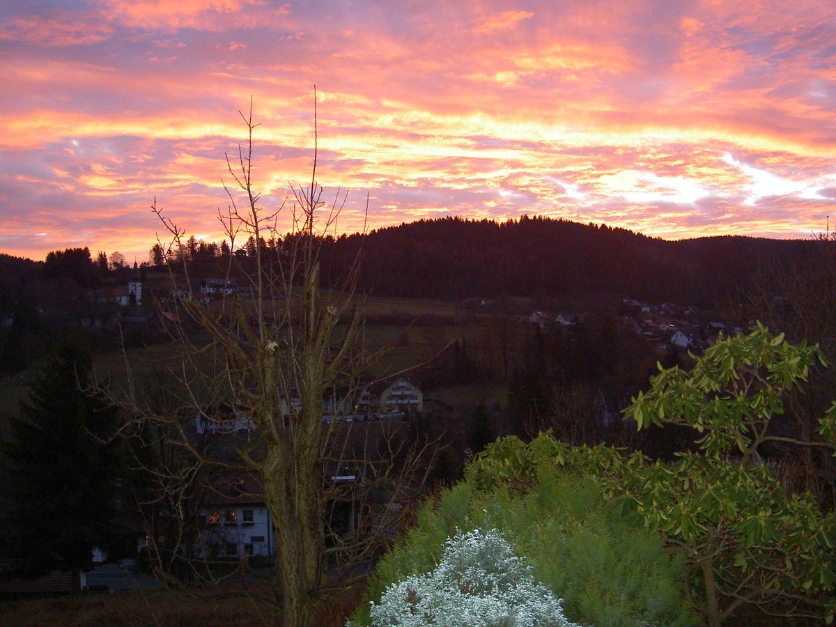 Ferienwohnung Haus Am Duerrberg "St. Georg" 瓦门施泰纳赫 外观 照片